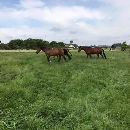 Ferme De La Forterie * Verlinghem
