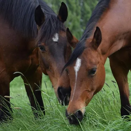 Ferme De La Forterie Bed & Breakfast Verlinghem