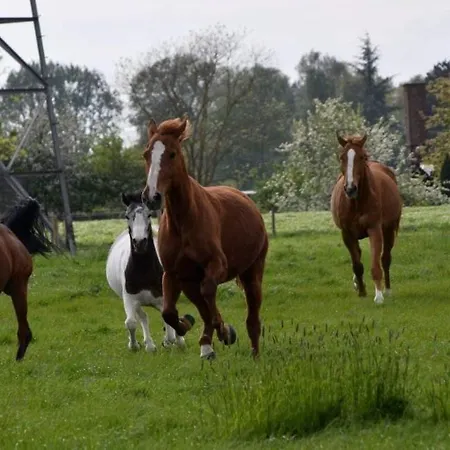 Ferme De La Forterie Bed & Breakfast Verlinghem